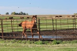 Colt enjoying nice day