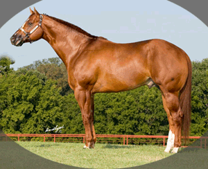 Mr Im Kiddin pictures